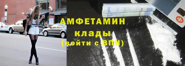ГАЛЛЮЦИНОГЕННЫЕ ГРИБЫ Горно-Алтайск