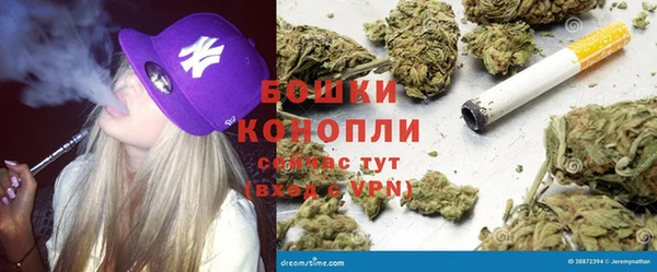 ГАЛЛЮЦИНОГЕННЫЕ ГРИБЫ Горно-Алтайск