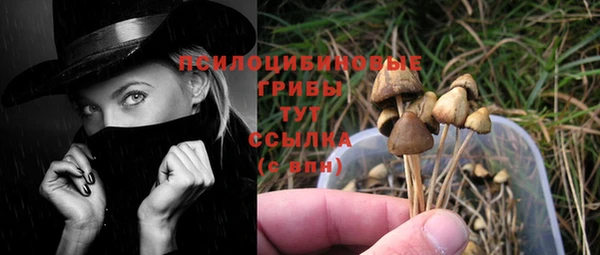 бутират Горняк